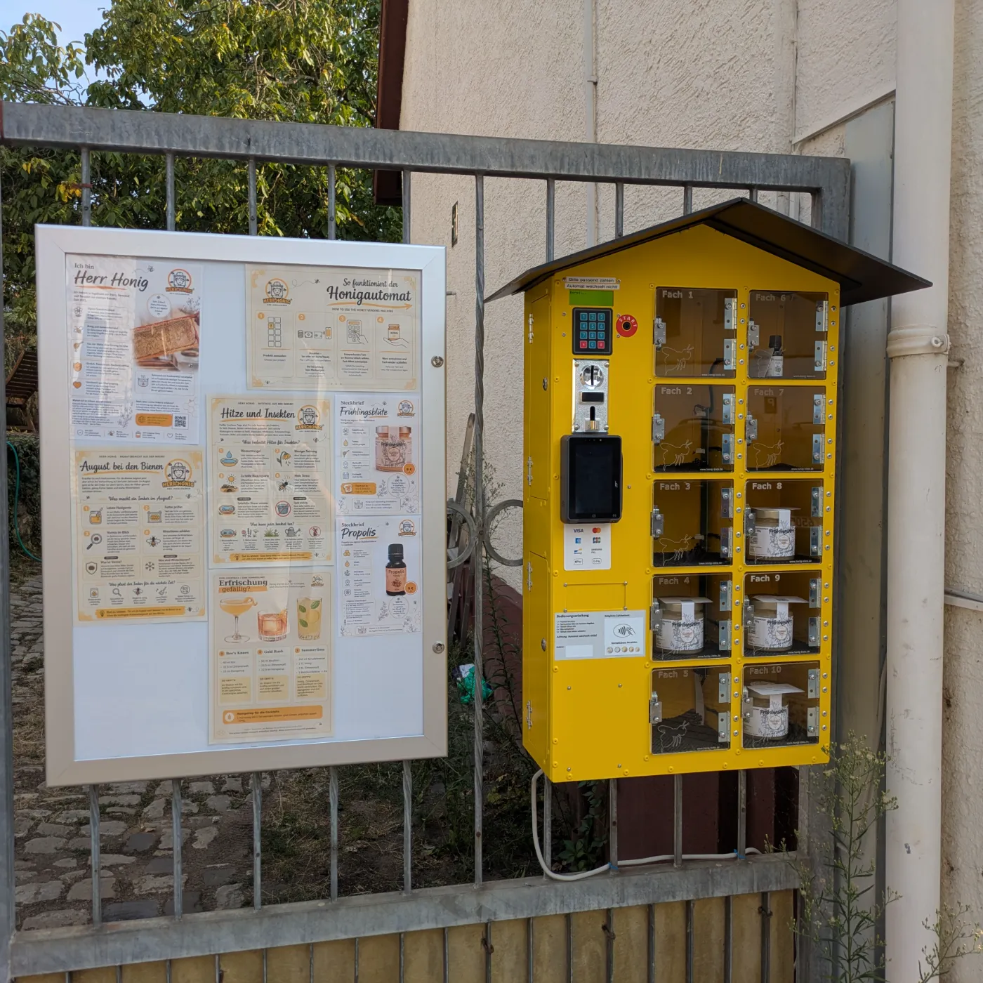 Honigautomat - Herr Honig – Bild 1