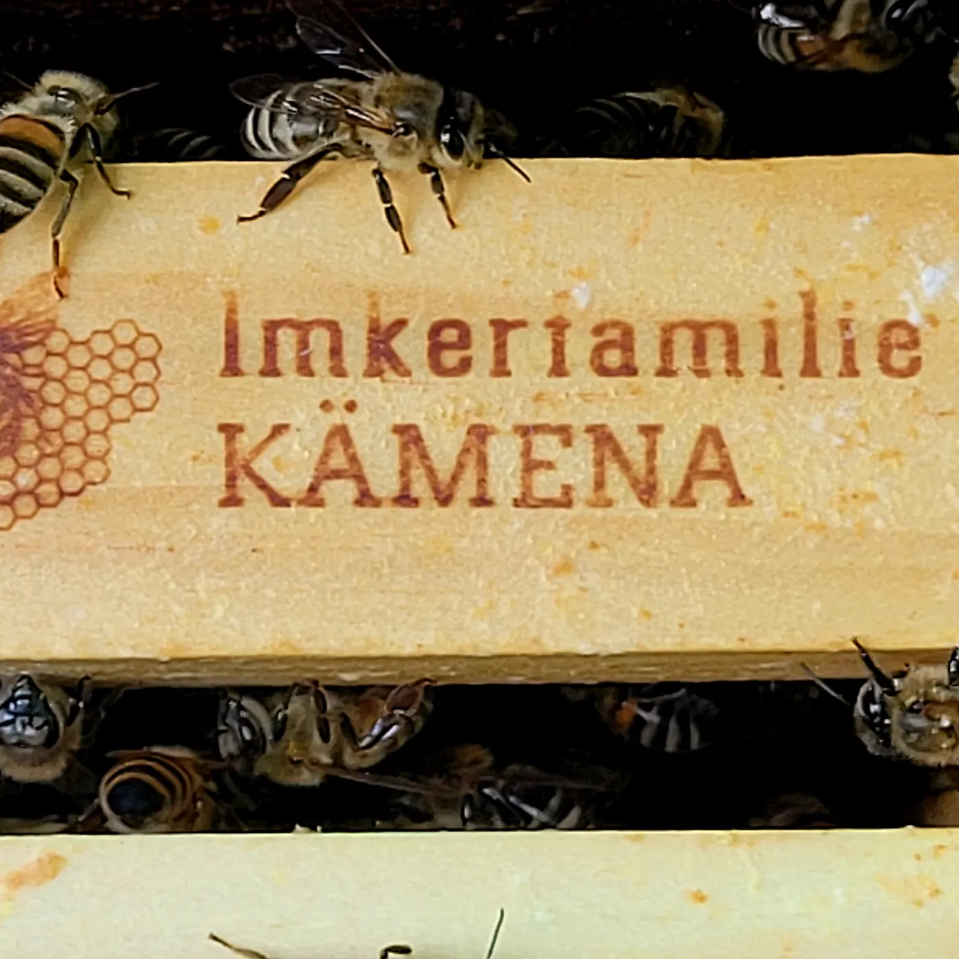 Imkerprodukte – Bild 1