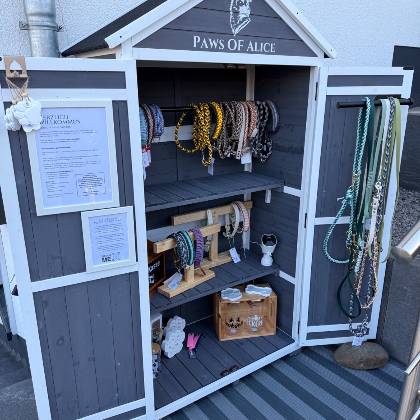 Paws of Alice – Bild 1